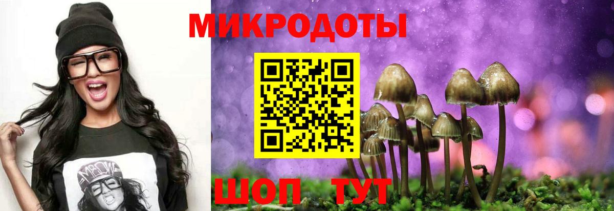 Псилоцибиновые грибы ЛСД  Вход с VPN  купить наркотик  Кизилюрт 