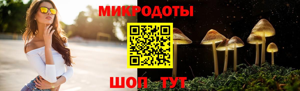Псилоцибиновые грибы MAGIC MUSHROOMS Кизилюрт