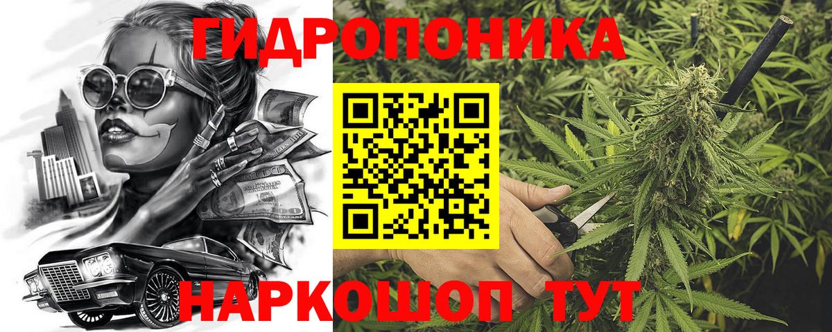 Шишки марихуана ГИДРОПОН Кизилюрт